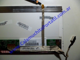 Flex Video Samsung NF310 - NP-NF310