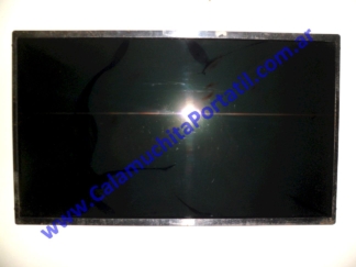 Display Toshiba Satellite C645D