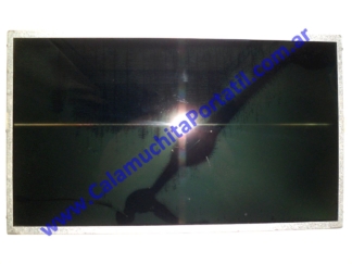 Display Lenovo G470 - 20078