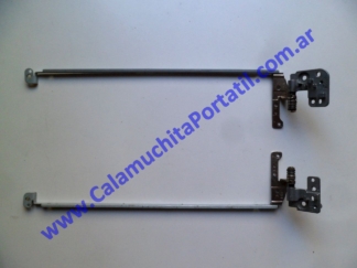 Bisagras Dell Inspiron M5030 - P07F