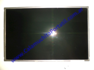 Display Sony Vaio VGNCR260F - PCG-5J1P