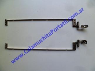 Bisagras Sony Vaio VGNCR260F - PCG-5J1P