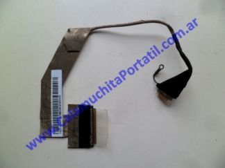 Flex Video Asus Eee PC 1000HA
