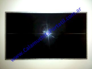 Display Lenovo B590 - 20208